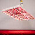 ApolloARC Red Light Therapy Device